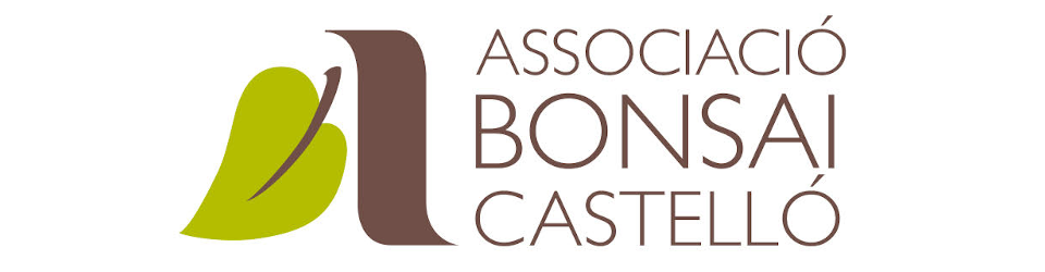 Associació Bonsai de Castelló